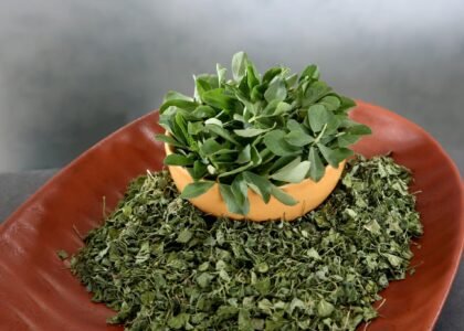 fenugreek leave benefits