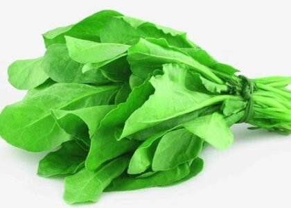 spinach health benefits
