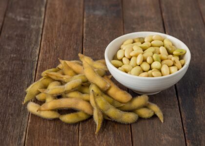 Soybean Health Benefits