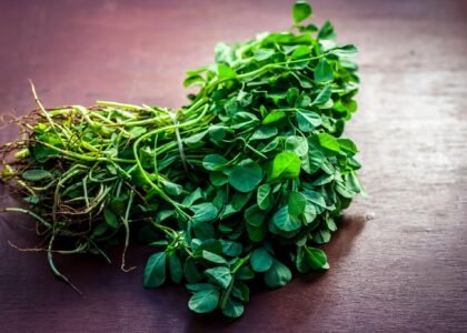 fenugreek leave benefits