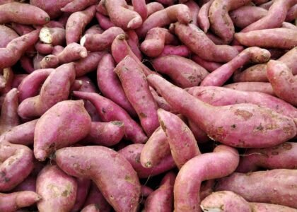 Sweet Potato Health Benefits