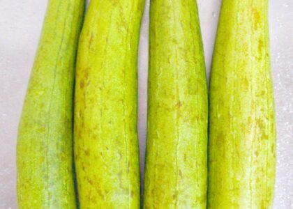 sponge gourd benefits