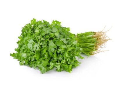 coriander leaves benefits