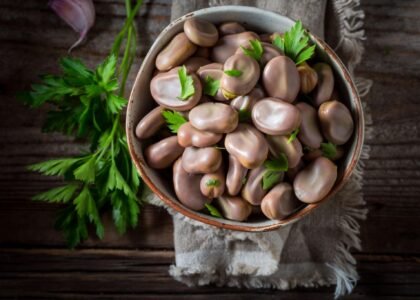 Broad Beans Health Benefits