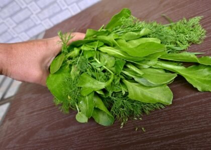 spinach health benefits