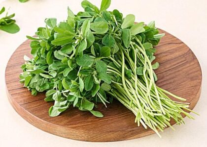 fenugreek leave benefits