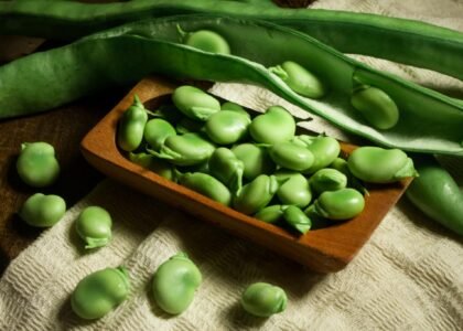 Broad Beans Health Benefits