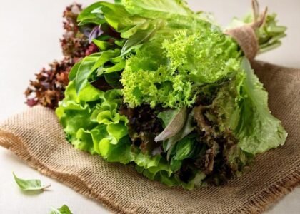 Salad Leaves Health Benefits