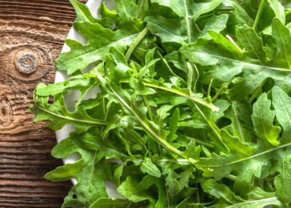 Salad Leaves Health Benefits
