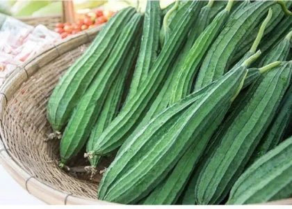 Ridge Gourd Health Benefits