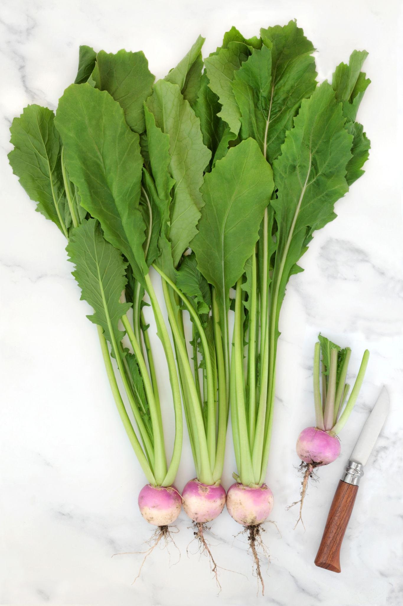 turnip benefits
