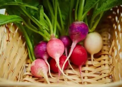 turnip benefits