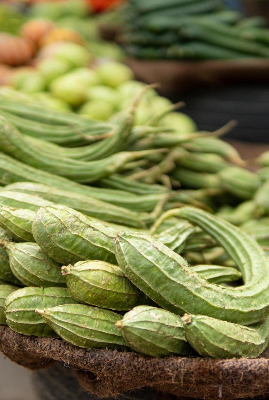 Ridge Gourd Health Benefits