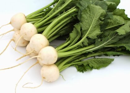 turnip benefits