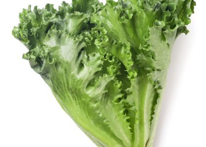 Lettuce Health Benefits