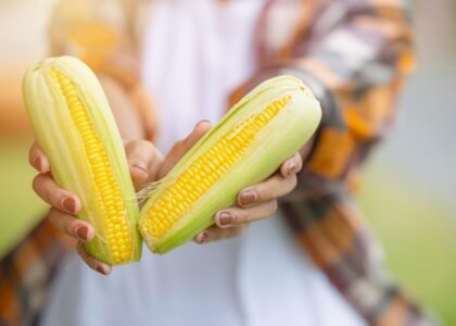 Corn Health Benefits