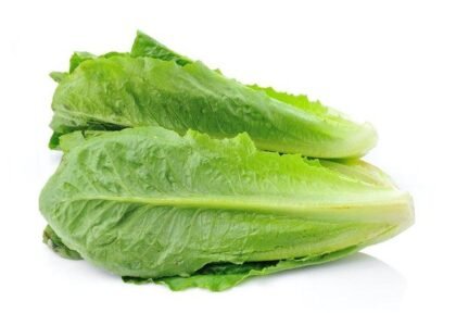 Lettuce Health Benefits