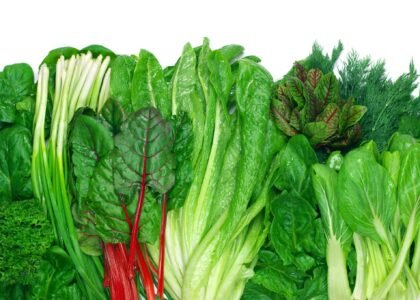 Vegetable Based Nutrition Health Benefits