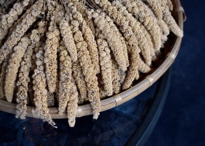 Barnyard Millet Health Benefits