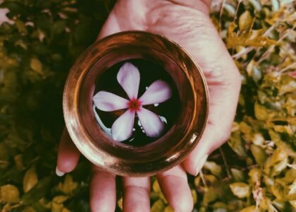 Dhara Therapy
