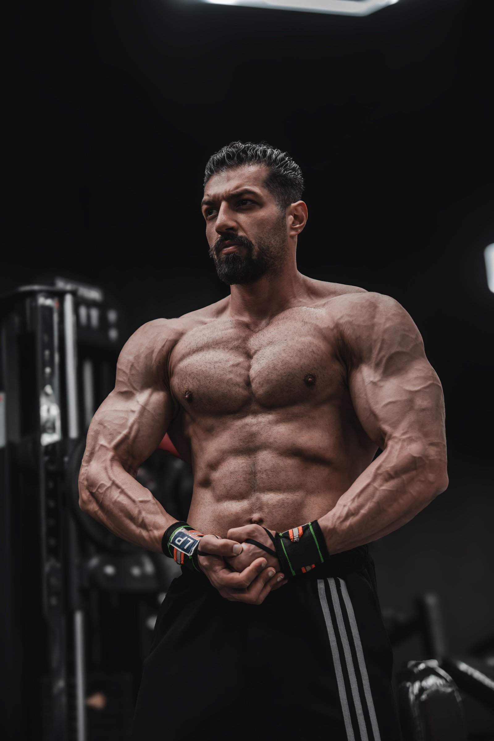Bodybuilding Workouts