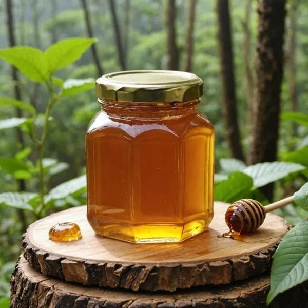 Wayanadan Forest Honey - Image 2