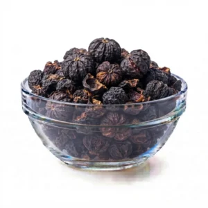 KUDAMPULI