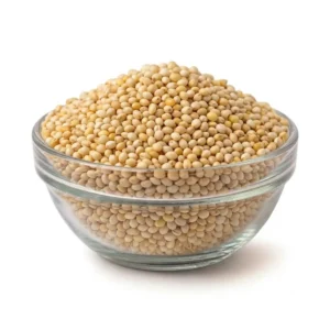 PROSO MILLET