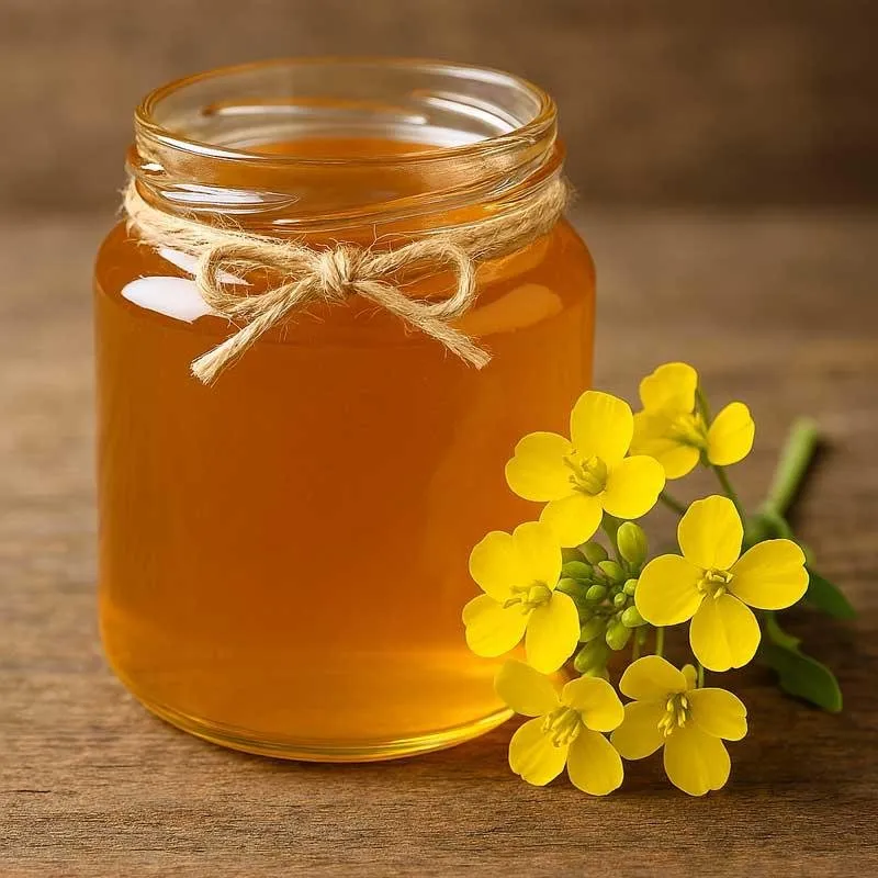 MUSTARD HONEY - Image 2
